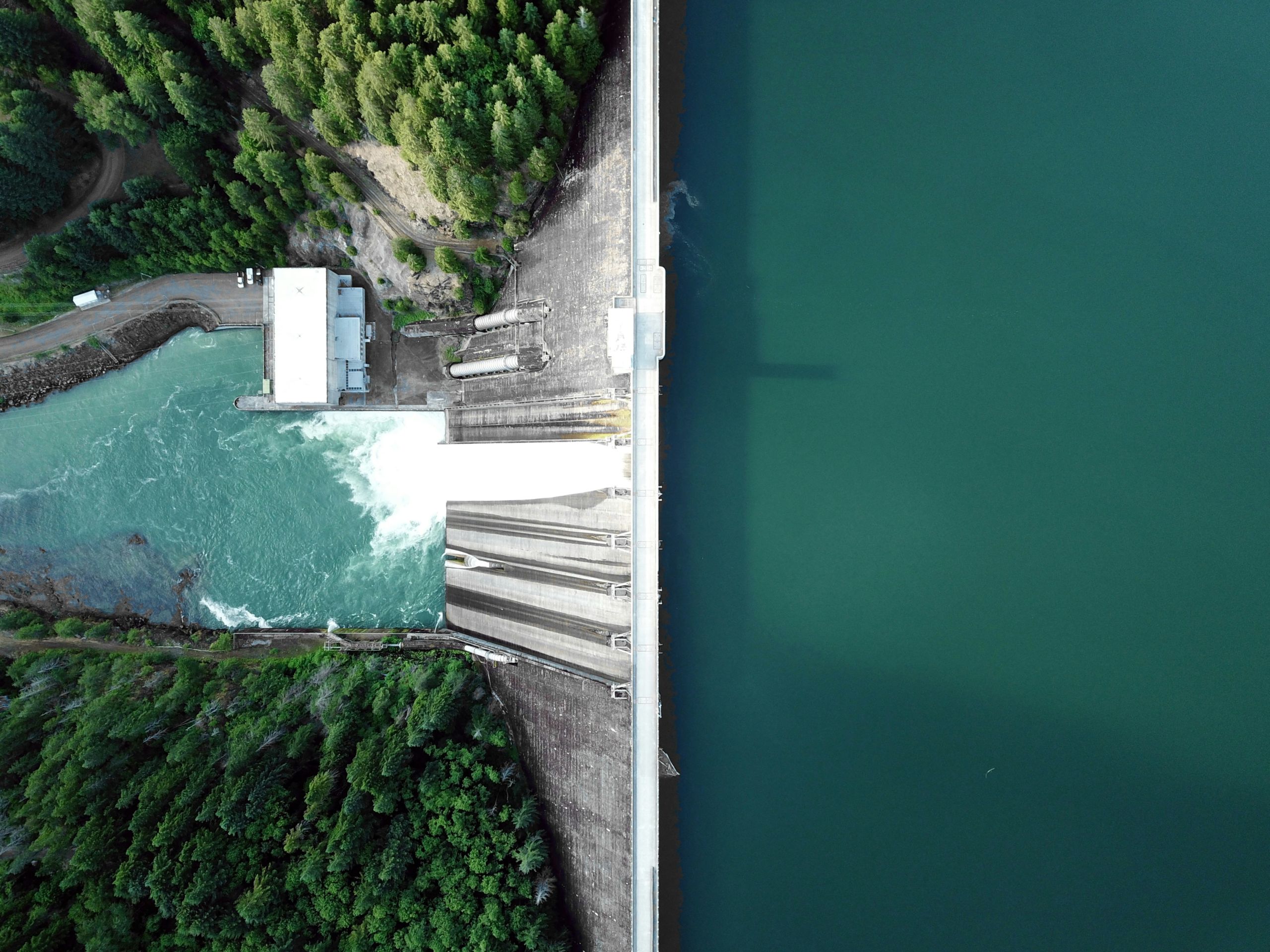 dan-meyers-w6X7XaolqA0-unsplash dan-meyers-w6X7XaolqA0-unsplash